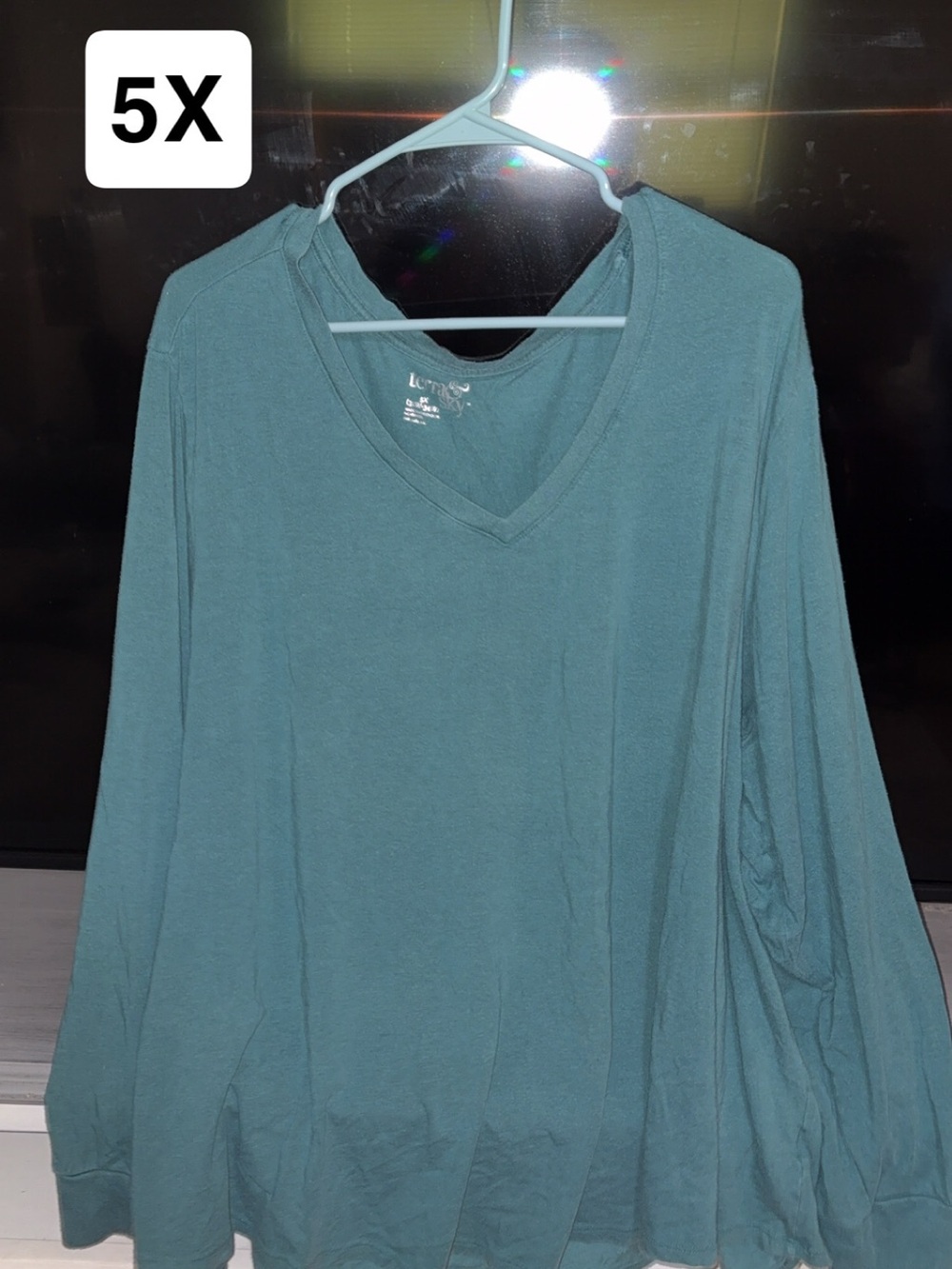 Plus-Size V-Neck Long Sleeve Top in Teal (5X)